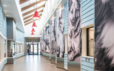 Idaho Humane Society (IHS) Animal Welfare Campus